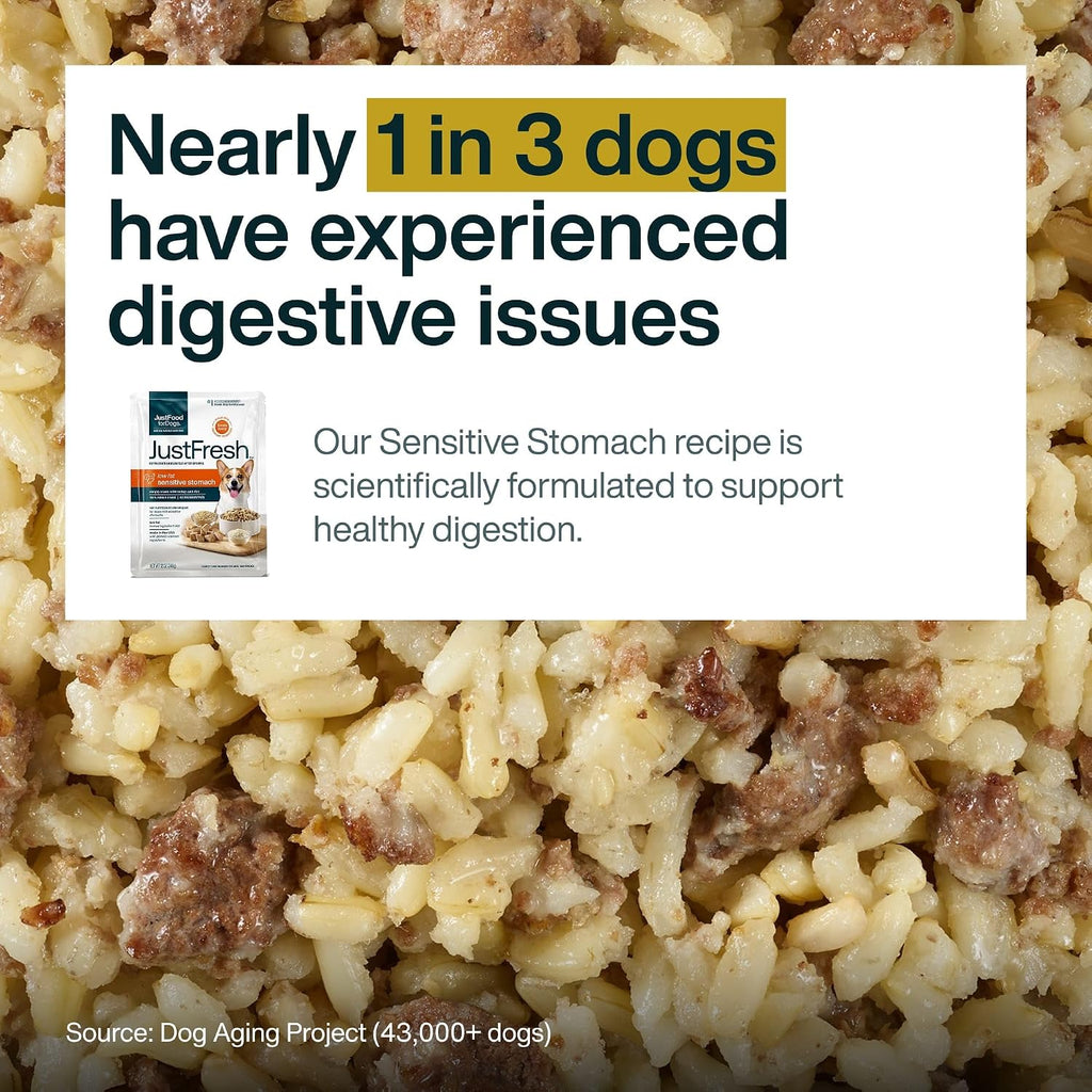 JustFoodForDogs JustFresh Fresh Sensitive Stomach Dog Food Pouches - 7 Pack | Shelf Stable Dog Food for Sensitive Stomachs, Human-Grade Turkey & Rice, Gentle Digestion, Gut Health Support, 12 Oz Pouch