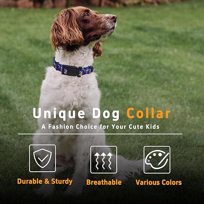 Dog Collar, Classical Birthday Gift Boys Girls Puppy Collar for Small Medium Large Dogs, Adjustable Soft Pet Collar with Safety Buckle for Male Females(Purple Birthday, XL)