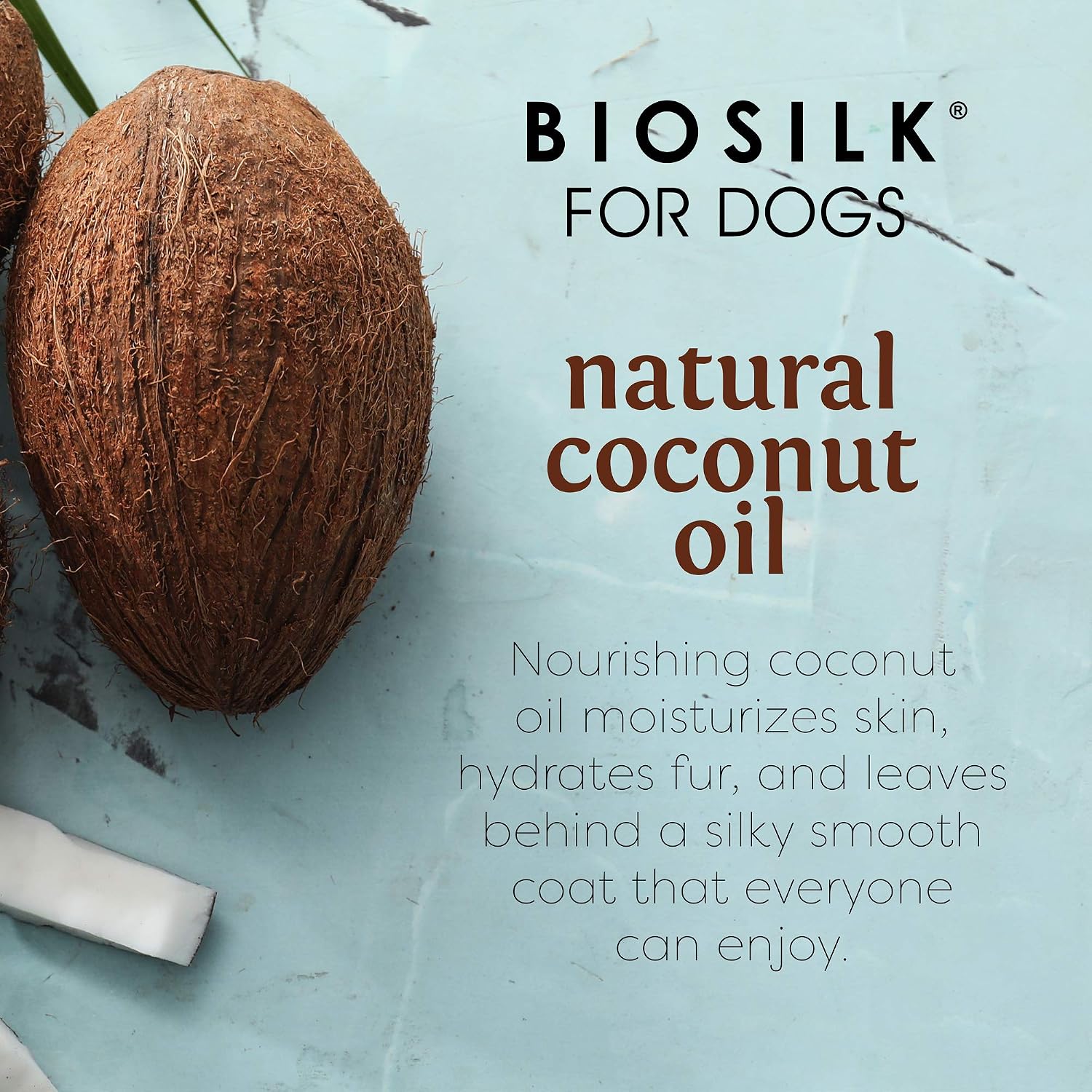 BioSilk for Dogs Silk Therapy Conditioner with Natural Coconut Oil | Coconut Oil Dog Conditioner from BioSilk for Dogs | Pet Conditioner for Dogs, 12 Ounces,Beige | Leaves coat soft and manageable, suitable for regular bathing, reduces tangles
