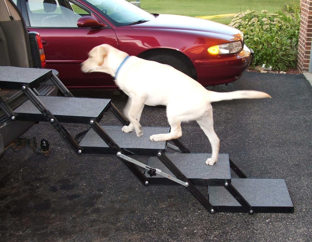 Pet Loader® Light 16" Platform, 5-Step with Wheels
