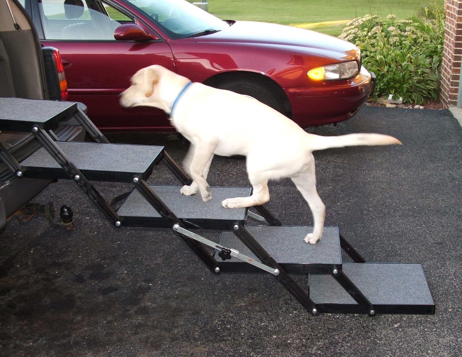 Pet Loader® Light 16" Platform, 5-Step with Wheels
