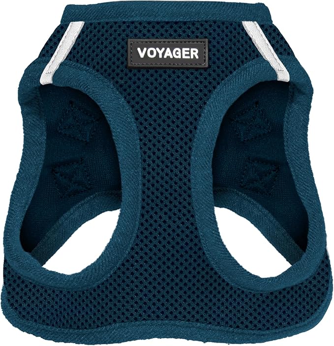 Best Pet Supplies Voyager Step-in Air Harness - All Weather Mesh, Reflective, No Pull Harness for Dogs, Cats - Secure with Hook & Loop Fastener, Buckle, Double D-Rings - Blue, XS