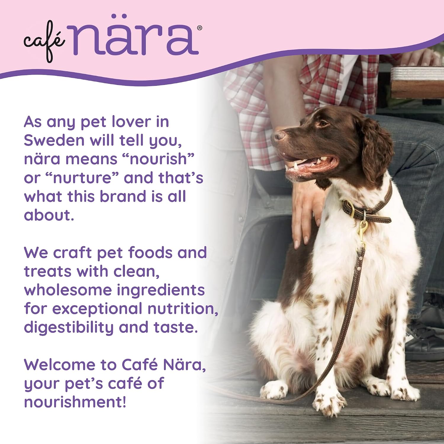 Café Nara - Lamb Air-Dried Food for Dogs - Complete Meal, Food Topper or Treat - Minimally Processed & Highly Digestible - for All Breeds & Ages - Wheat, Corn & Soy Free - Made in USA - 1 lb Bag