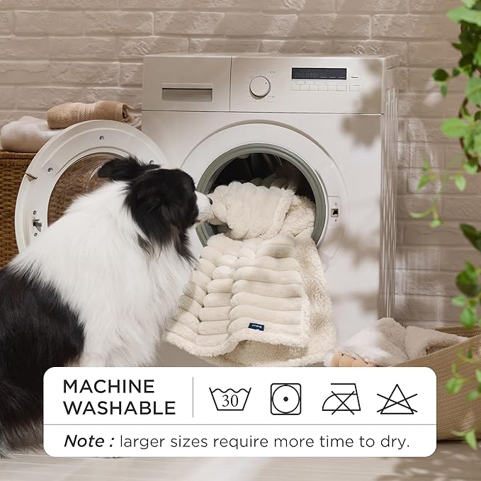 Bedsure ComfyFleece™ Waterproof Dog Blankets for Small Dogs - Soft Puppy Cat Blanket Corduroy Fleece Washable, Cozy Calming Reversible Furniture Protection for Pet Kitten Doggy,25"x35", Cream