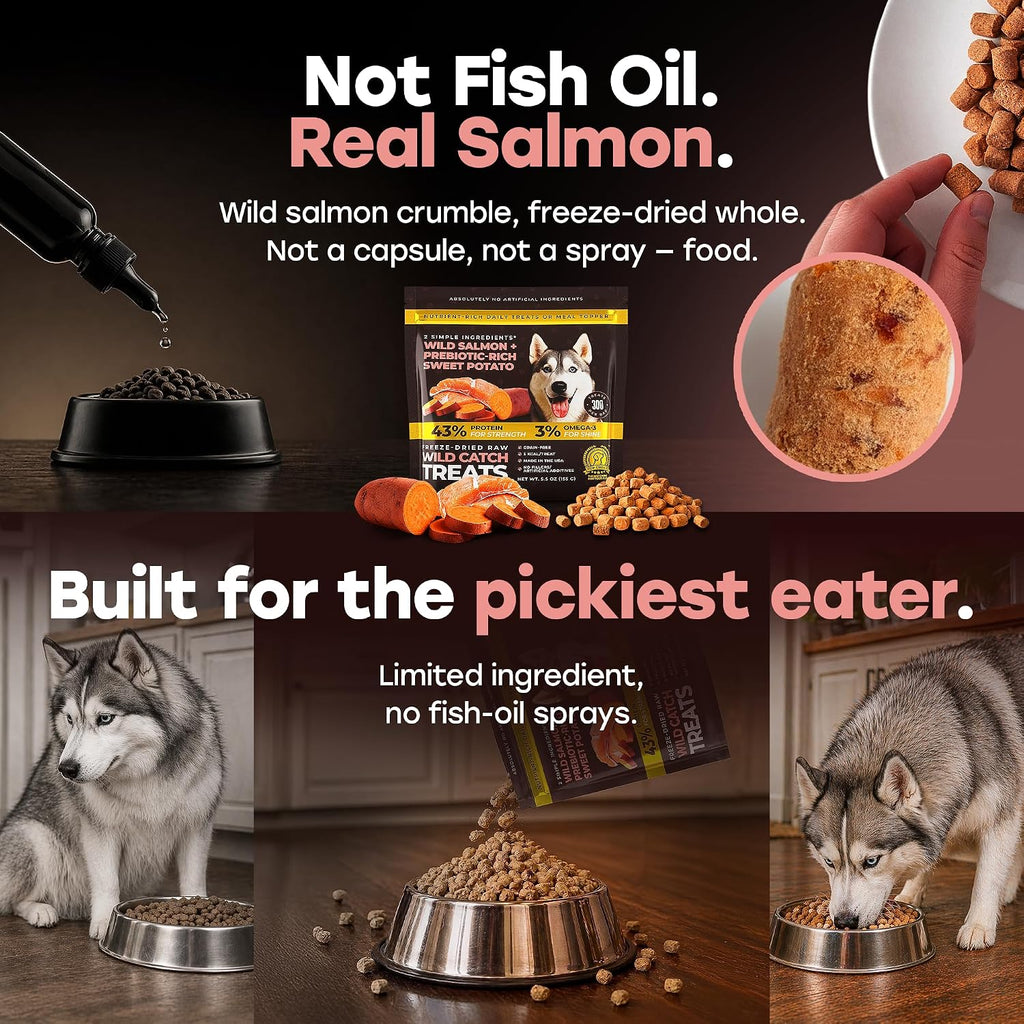 Freeze-Dried Raw Salmon Dog Treats - Single Protein, Grain-Free | Wild-caught salmon with sweet potato and omega-3; no fillers; training reward or kibble topper