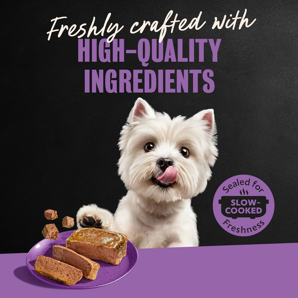 Cesar Classic Loaf in Sauce Wet Dog Food, Filet Mignon, 3.5 oz, 24 Count | Made in USA, Real beef #1 ingredient, no fillers/added sugar/artificial flavors, use as meal or topper, easy peel trays
