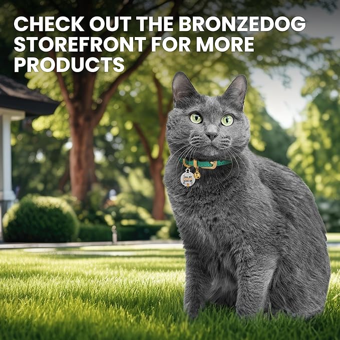 BRONZEDOG Leather Cat Collar with Removable Bells Non Breakaway Kitten QR Tag for Girl Boy (9" - 12" Cats/Mini Dogs, Black & Silver)