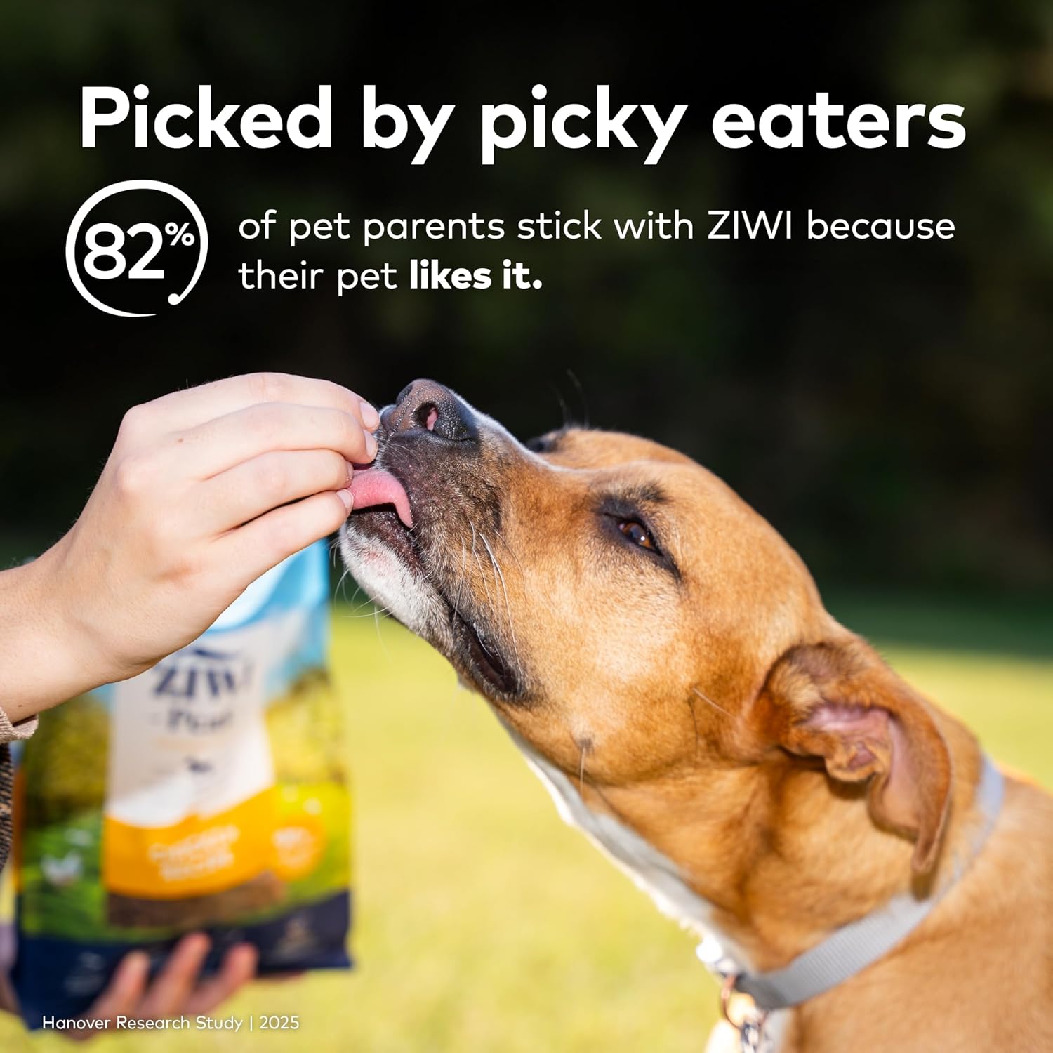 Bundle of ZIWI Peak Air-Dried Dog Food – Lamb (16oz) + Air-Dried Dog Food – Chicken (16oz)- - All Natural, High Protein, Grain Free, Limited Ingredient w/Superfoods