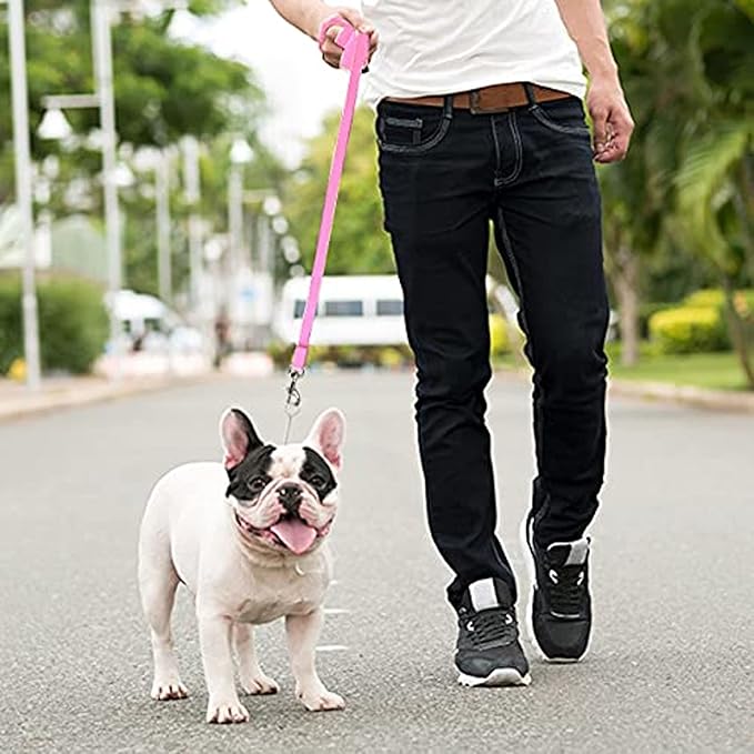 Downtown Pet Supply - Long Dog Leash - 50 ft Pink Nylon Dog Training Leash for Recall & Obedience