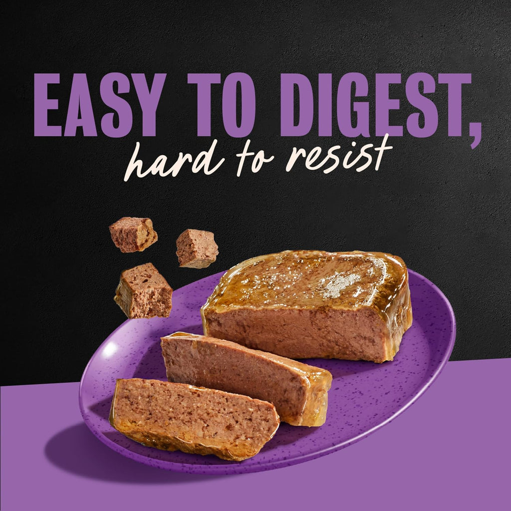 Cesar Classic Loaf in Sauce Wet Dog Food, Filet Mignon, 3.5 oz, 24 Count | Made in USA, Real beef #1 ingredient, no fillers/added sugar/artificial flavors, use as meal or topper, easy peel trays