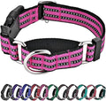 Hikiko Martingale Dog Collars Reflective Nylon Dog Collar with Quick Release Buckle Adjustable Training No Slip Dog Collar (X-Large, Pink)