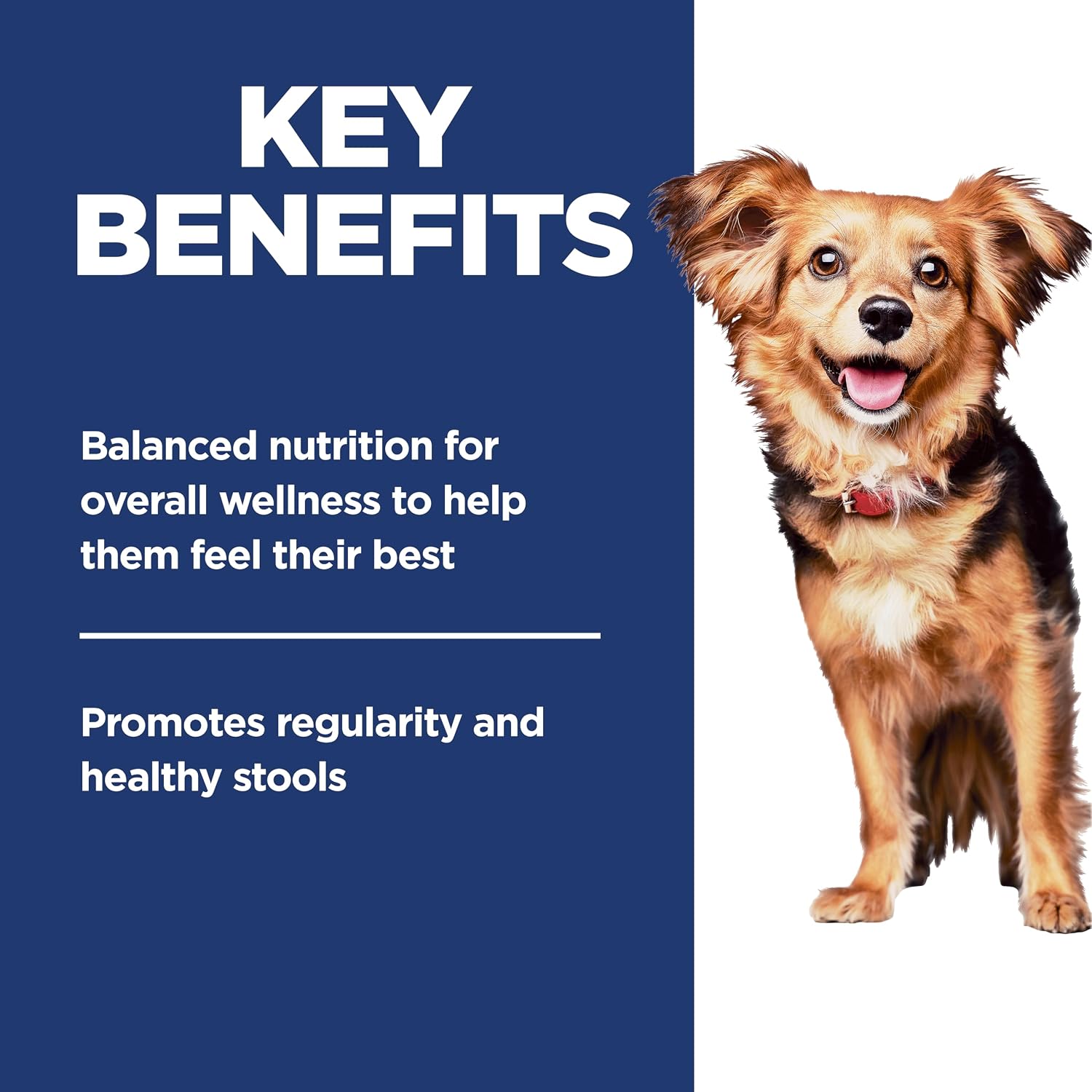 Hill's Science Diet Adult 1-6 Perfect Digestion Small & Mini Dry Dog Food | #1 Veterinarian Recommended, Chicken & Brown Rice, 3.5 lb. Bag