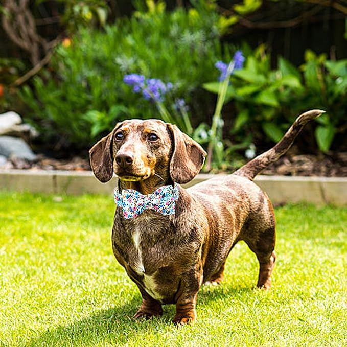 Lionheart glory Dog Collar Bow Collar Floral Dog Collar with Bow Tie Spring Summer Cute Collar Dog Boy or Girl Dog Collars Soft Durable Adjustable Dog Collars for Small Dogs