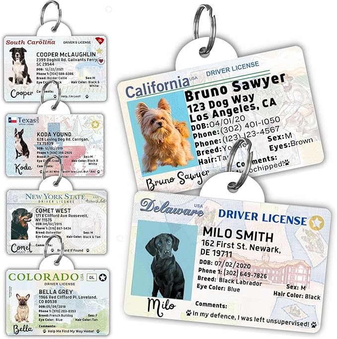 PawFurEver Personalized Dog Driver License ID Tag for Dogs & Cats - Custom Pet License Dog ID Tags Personalized Heavy Duty with Name, Photo & Phone Number, 50 States + DC (Alaska, Tag)
