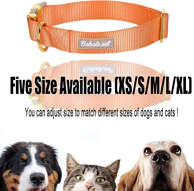 Nylon Dog Collar - Adjustable Orange Soft Webbing Dog Collars for Small Medium Large Dogs Boy Girl Puppy Collar with Safety Metal Buckle L