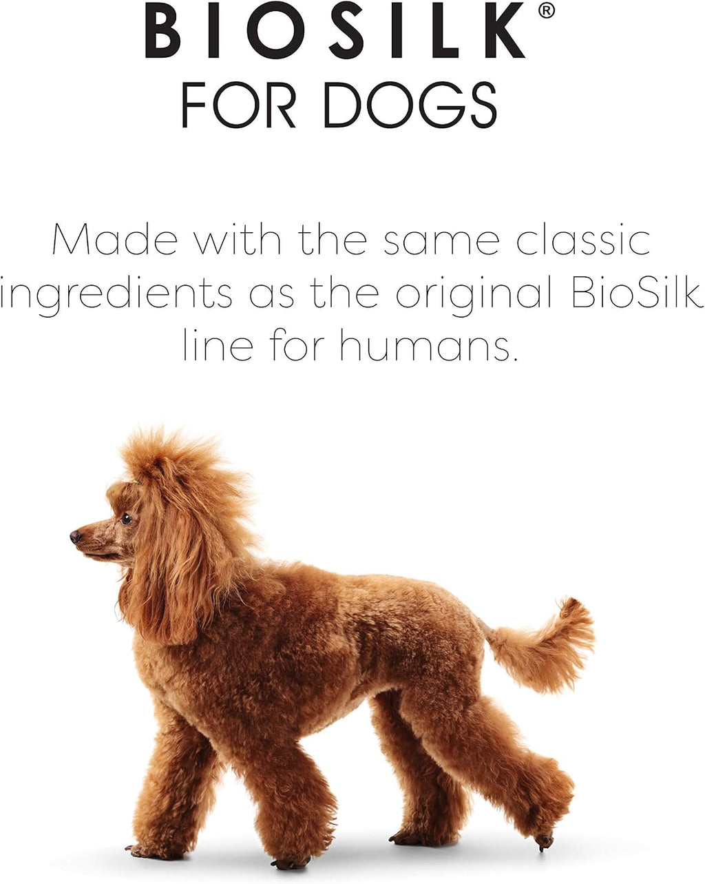 BioSilk for Dogs Silk Therapy Conditioner with Natural Coconut Oil | Coconut Oil Dog Conditioner from BioSilk for Dogs | Pet Conditioner for Dogs, 12 Ounces,Beige | Leaves coat soft and manageable, suitable for regular bathing, reduces tangles