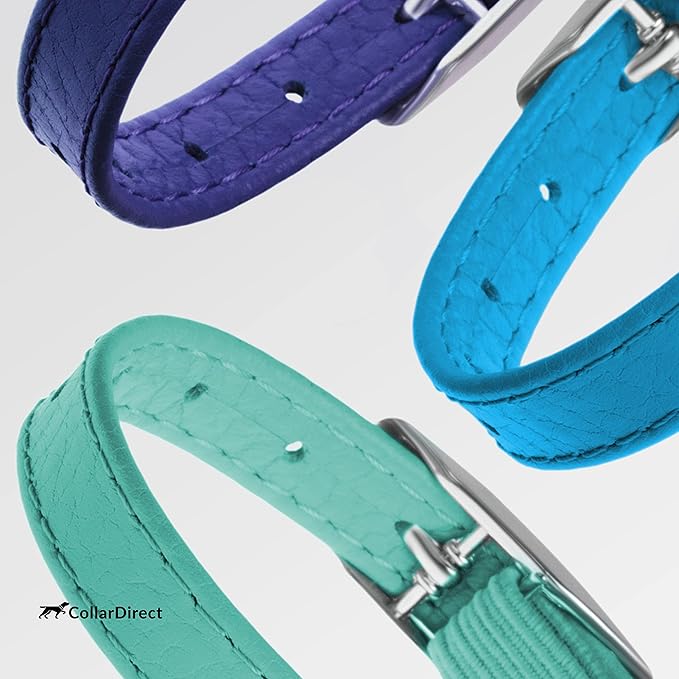 CollarDirect Leather Cat Collar, Kitten Collar with Removable Bell Black Blue Red Orange Lime Green (8-11 Inch, Light Blue)