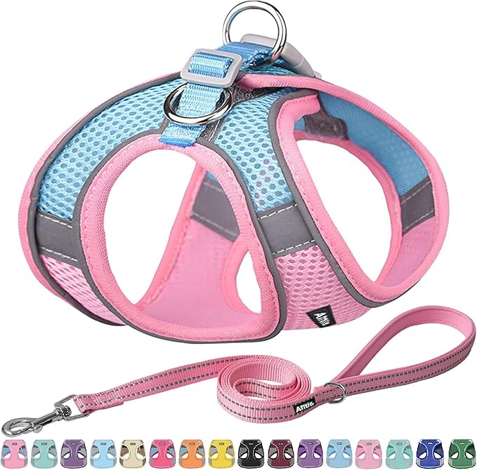 AIITLE Small Harness for Puppy with A Leash - Dog Vest Harness with Super Breathable Mesh, Reflective No-Pull Pet Harness for Outdoor Walking, Running for Small Dogs, Cats Pink XXS