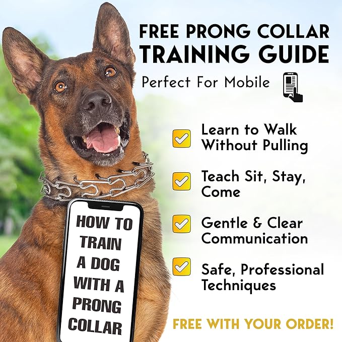 PetJett ProTrainer Prong Collar for Dogs - Choke Collar for Dogs, Pinch Collar for Dog Adjustable No Pull Training Collar for Small Medium Large Dog - Safety Durable Stainless Steel Metal Choker Chain