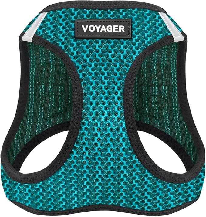 Best Pet Supplies - All Weather Mesh/Plush, Reflective, No Pull Harness for Small, Medium Dogs, Cats - Secure with Hook & Loop Fastener, Buckle, Double D-Rings - Turquoise 2-Tone, XL