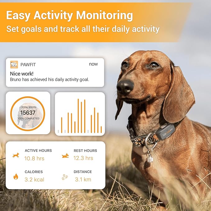 Pawfit Lite for Small Dogs 4g GPS Tracker | Real Time Tracking | Activity Monitoring |Location History | Unlimited Range | Lilac Grey