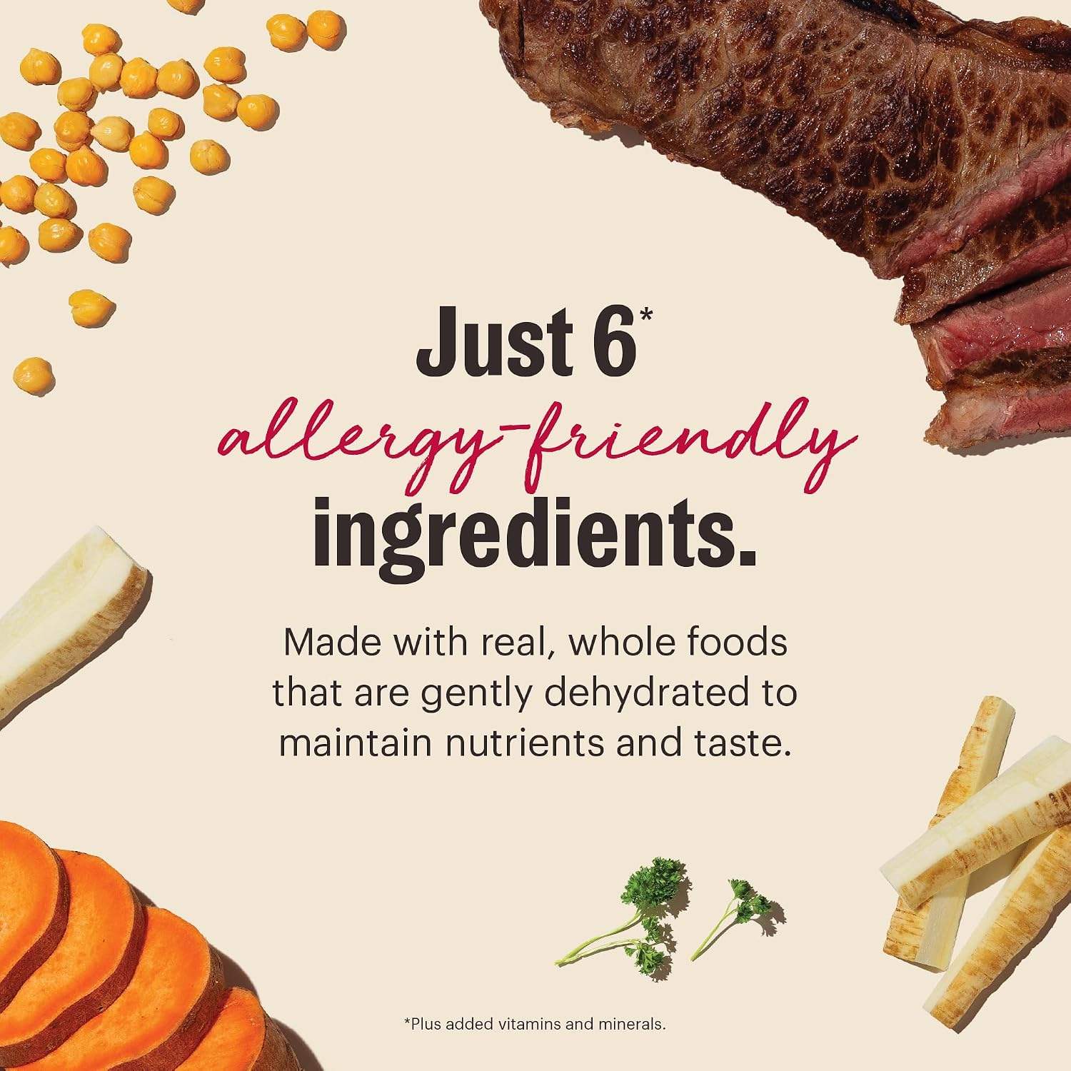 The Honest Kitchen Wholemade™ Limited Ingredient Dehydrated Beef Dog Food, 10 lb Box