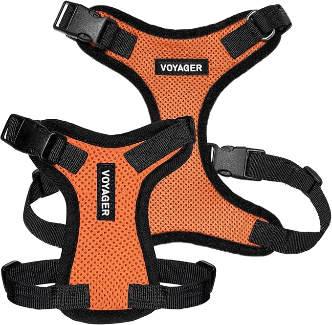 Voyager Step-in Pet Harness - All Weather Mesh, Adjustable Step in Harness for Cats and Dogs by Best Pet Supplies - Orange/Black Trim, M