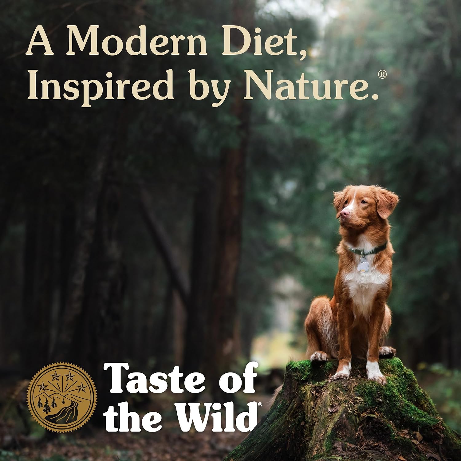Taste of the Wild Pacific Stream Puppy Dry Dog Food, Salmon, 28lb | Puppy, Adult & Senior Dogs | Grain Free Recipe* | Nutrient Dense to Help Support Peak Health | Guaranteed DHA & Probiotics