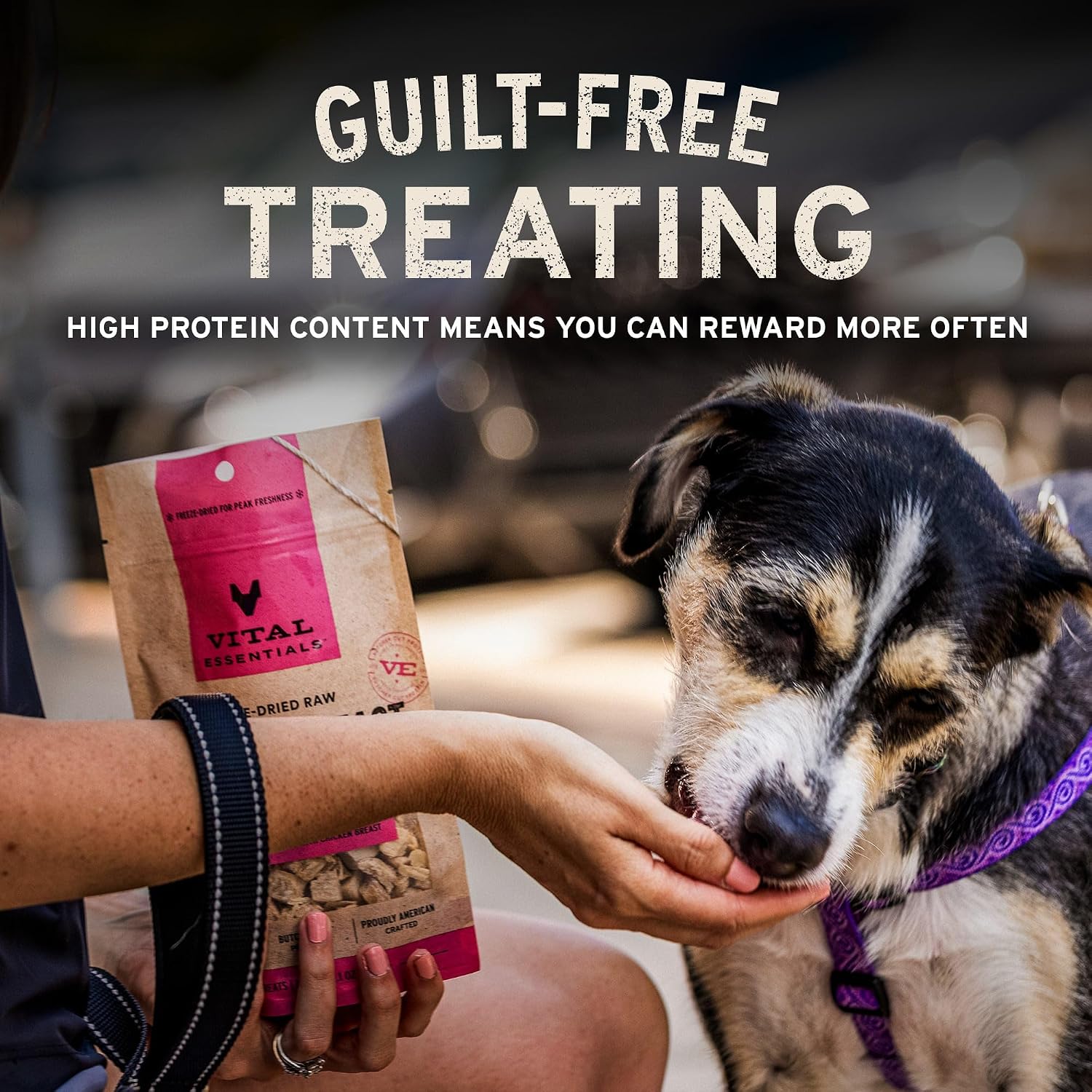 Vital Essentials Freeze Dried Minnows Dog Treats, 1 oz Bag | Single Ingredient 100% Minnow, Premium Quality Protein, Grain-Free Treats, USA Made with U.S. & Globally Sourced Ingredients
