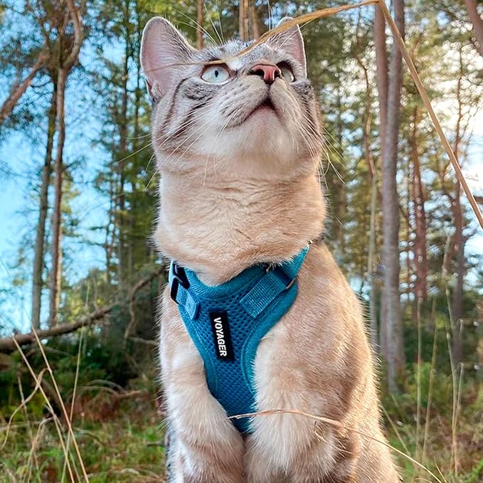 Voyager Escape-Proof Step-in Lock Cat Harness & 5ft Neoprene-Handle Leash Set All-Weather Mesh with Reflective Stitching for Small to Large Cats by Best Pet Supplies, Turquoise, XXXS