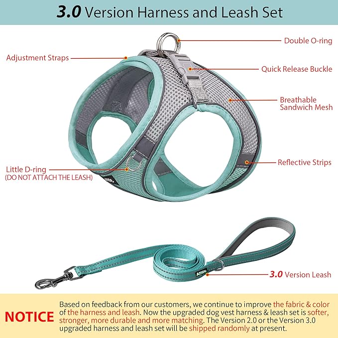 AIITLE Step in Dog Harness and Leash Set - No Pull Escape Proof Vest Harnesses with Soft Mesh and Reflective Bands, Adjustable Pet Outdoor Harnesses for Small and Medium Dogs Turquoise M