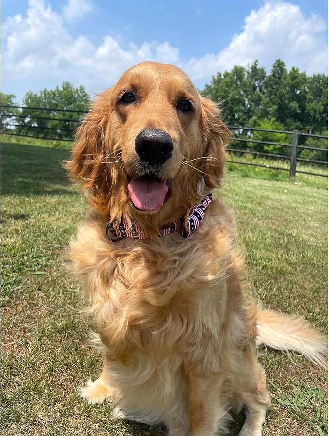 Lionheart glory American Flag Dog Collar, 4 of July Dog Bow Collar Heavy Duty Adjustable Patriotic Dog Collar with Bowtie for Small Dogs Pet Gift