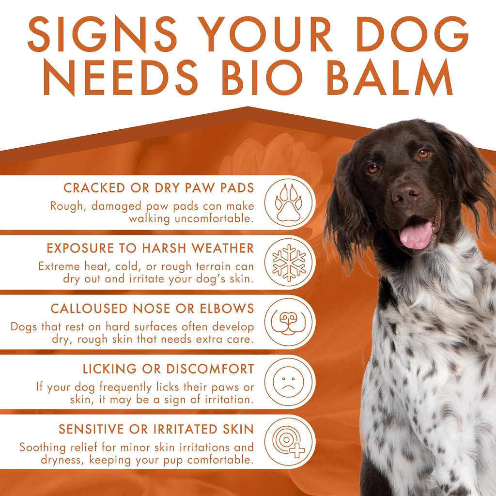 Dermoscent | Bio Balm | Natural, Organic, Healing Dog Paw Balm | Skin & Paw Soother For Dogs With Dry, Cracked, & Rough Paws | Veterinarian-Approved Paw Pad Moisturizer & Protector