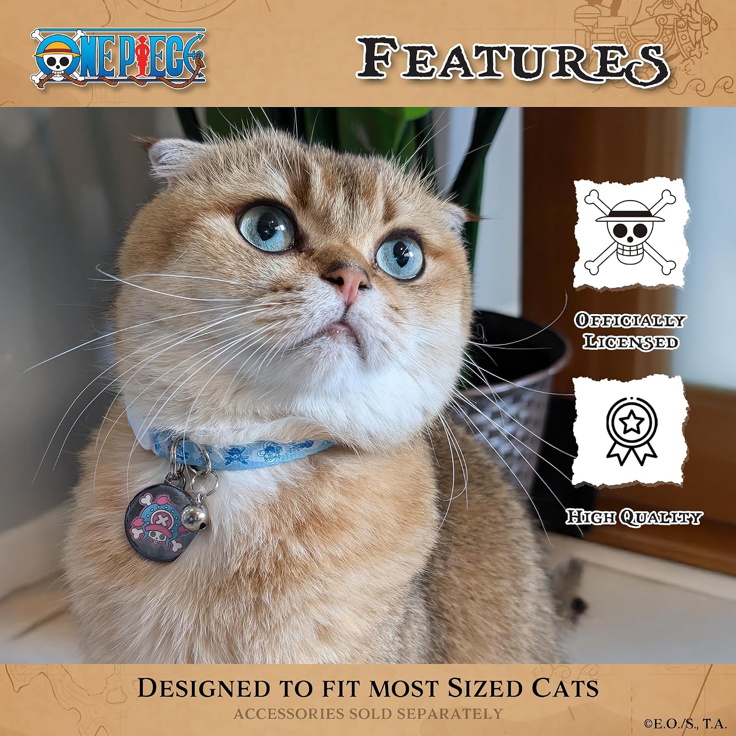 One Piece Cat Collar with Bell (Removable); Officially Licensed, Fully Adjustable New World Breakaway Cat Collar for Kittens, Durable, Cute Kitten Collar with Bell for Boy & Girl Cats (One Size 8-12”)