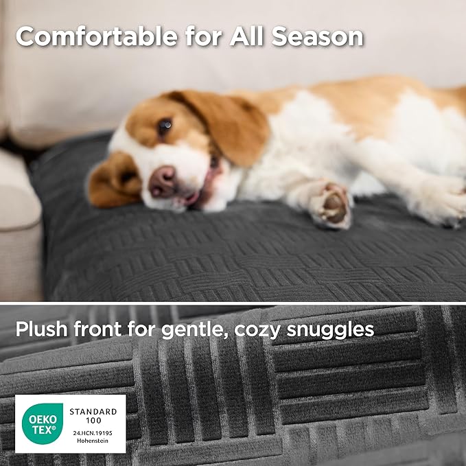 Bedsure Waterproof Couch Cover for Dogs Washable - Waterproof Blanket for Large Dogs Couch Sofa Bed Cozy, Lightweight Furniture Protector for Pet Cat Quick Drying, Charcoal, 52x82IN