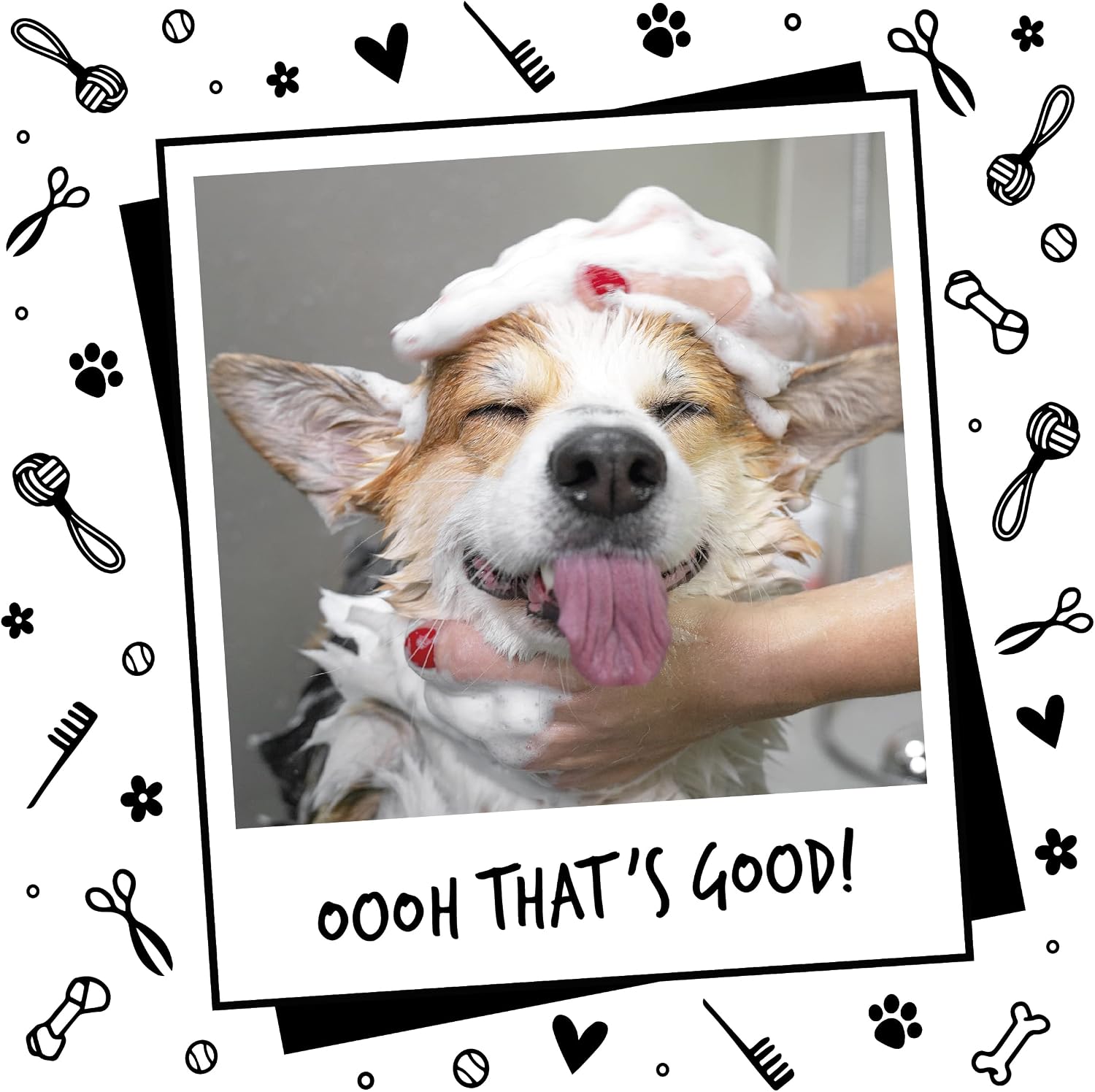 BUGALUGS Dog Shampoo with a Distinctive One in a Million Fragrance - Natural Dog Grooming Shampoo Products for Smelly Dogs with Fragrance, Puppy Professional Groom Shampoo & Conditioner (33.8 FL Oz)