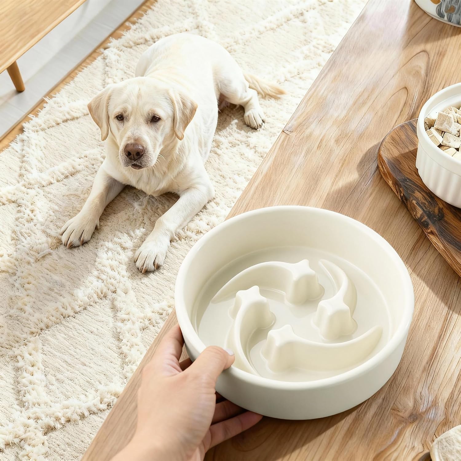 Ceramic Slow Feeder Dog Bowls Small Breed, 0.6 Cups, 6.4 Inch Beige | Raised maze design slows fast eating for small dogs, puppies and cats; heavy ceramic, non-slip and dishwasher safe.