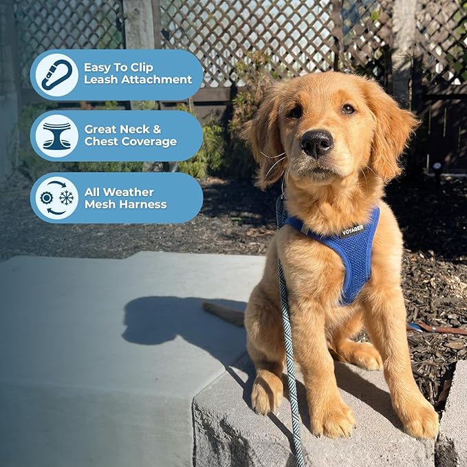 Best Pet Supplies Voyager Step-in Air All Weather Mesh Harness and Reflective Dog 5 ft Leash Combo with Neoprene Handle, for Small, Medium and Large Breed Puppies - Set (Royal Blue), S