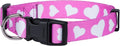 Native Pup Valentine’s Dog Collar- Valentines Day Pet Collars- Valentine Girly Hearts- Pink Red Heart- Cute Boy Girl Puppy Gift- Adjustable for Small, Medium, Large Breeds (Pink Heart, Medium)
