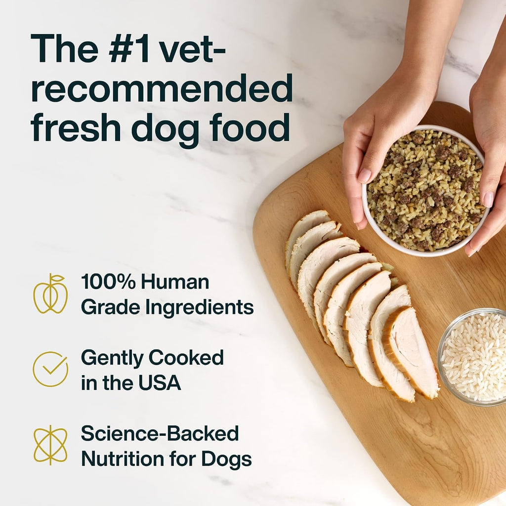 JustFoodForDogs JustFresh Fresh Sensitive Stomach Dog Food Pouches - 7 Pack | Shelf Stable Dog Food for Sensitive Stomachs, Human-Grade Turkey & Rice, Gentle Digestion, Gut Health Support, 12 Oz Pouch