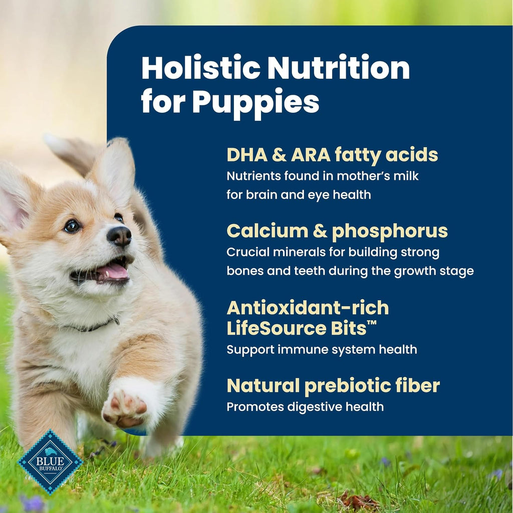 Blue Buffalo Life Protection Formula Chicken Puppy Dry Dog Food, 5 lb | With DHA for Brain Development, Real Chicken #1 Ingredient, Antioxidant-Rich LifeSource Bits, Promotes Healthy Muscle Growth