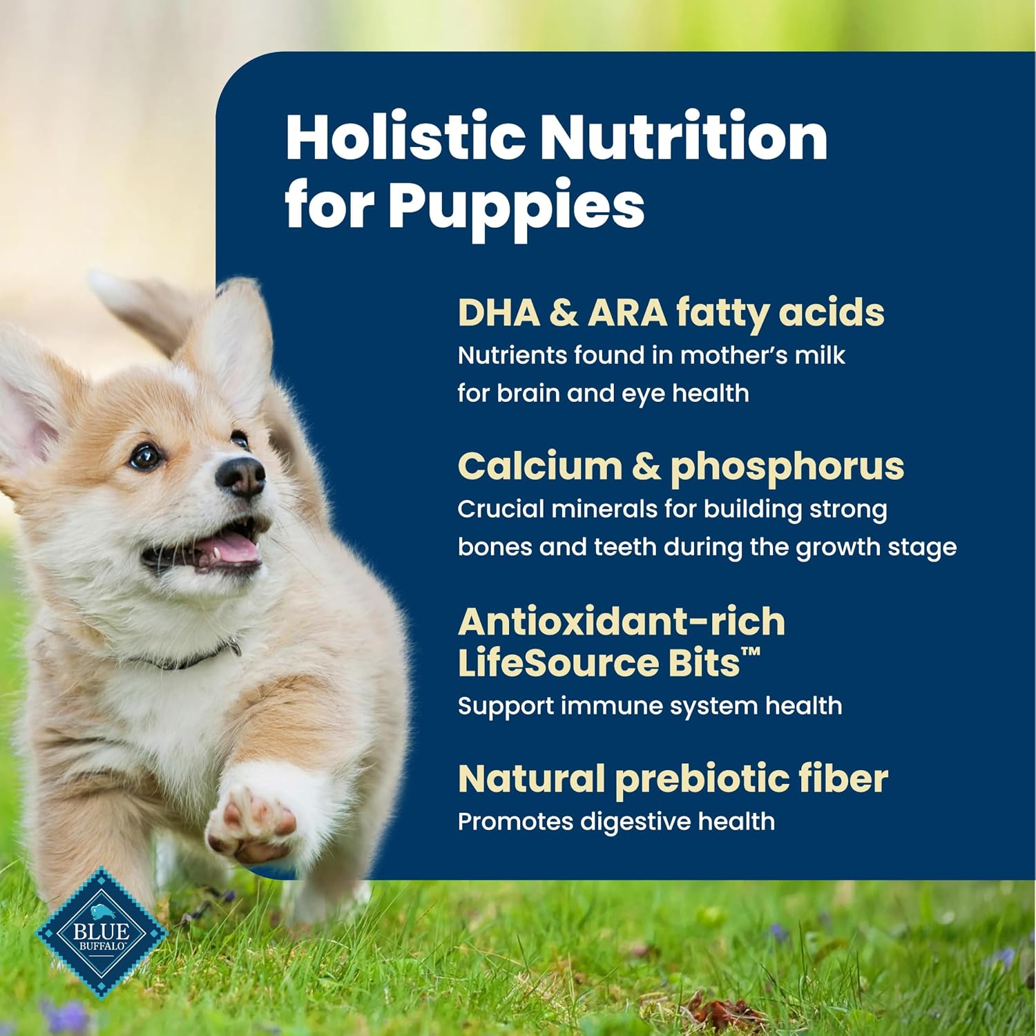 Blue Buffalo Life Protection Formula Chicken Puppy Dry Dog Food, 5 lb | With DHA for Brain Development, Real Chicken #1 Ingredient, Antioxidant-Rich LifeSource Bits, Promotes Healthy Muscle Growth