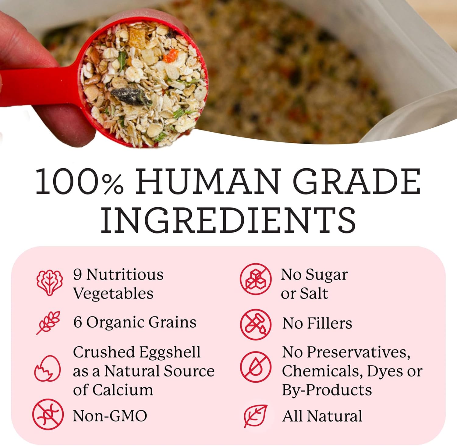 Dr. Harvey's Canine Health Miracle Dog Food, Human Grade Dehydrated Base Mix for Dogs with 9 Vegetables and 6 Organic Whole Grains (10 Pounds) | Human Grade, Mix with 9 Vegetables & 6 Organic Whole Grains