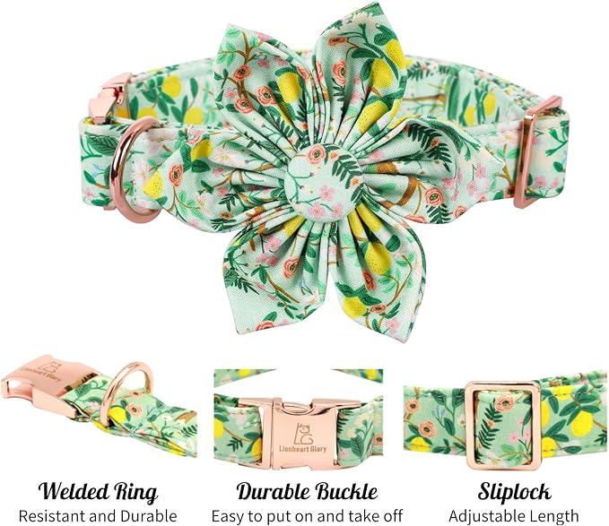 Lionheart Glory Dog Collar, Dog Collar with Flower, Cute Lemon Floral Pattern Pet Collar Adjustable Dog Collar for Large Dogs
