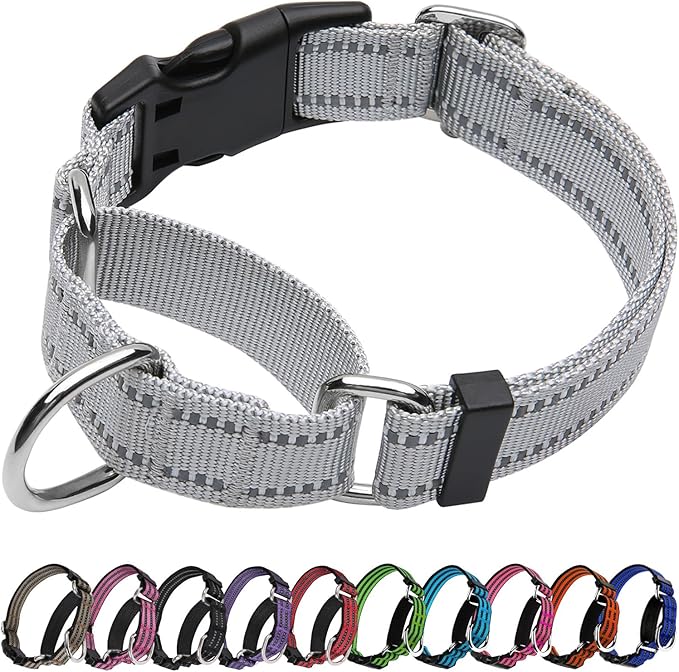 Martingale Dog Collar, Adjustable Nylon Reflective Collar with Buckle No Pull Dog Collar for Small Medium Large Dogs (Grey S)