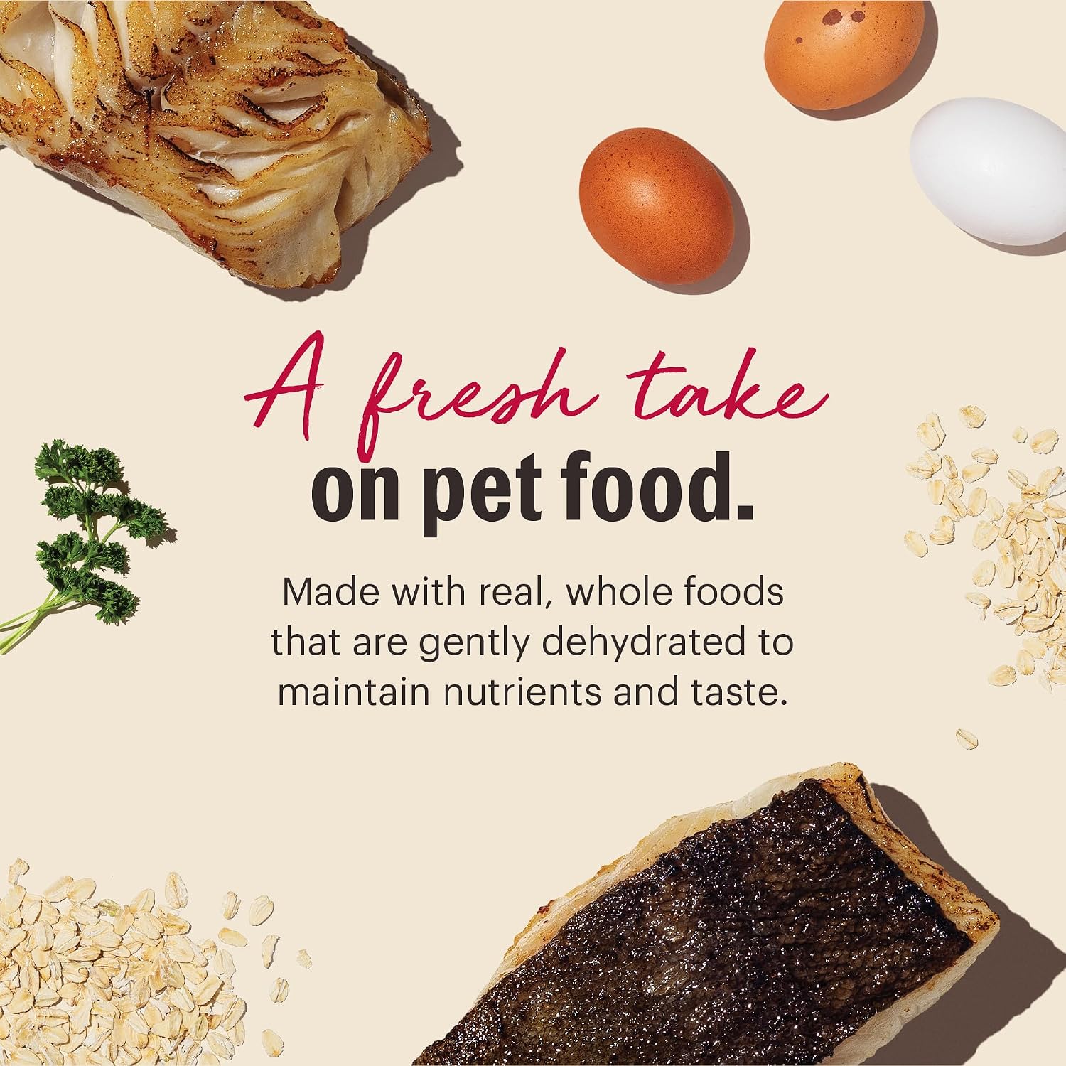 The Honest Kitchen Human Grade Wholemade™ Dehydrated Whole Grain Dog Food – Complete Meal or Dog Food Topper – Fish 4 lb (Makes 16 lbs)