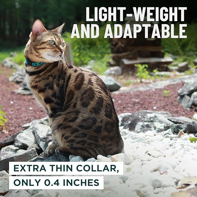 OutdoorBengal Orange Cat Collar Breakaway, Soft Padding for Medium to Large Cats - Durable Heavy Duty Tactical Fabric, Comfortable, Quick Release Breakaway Cat Collars, No Bell Collar (Orange, Adult)