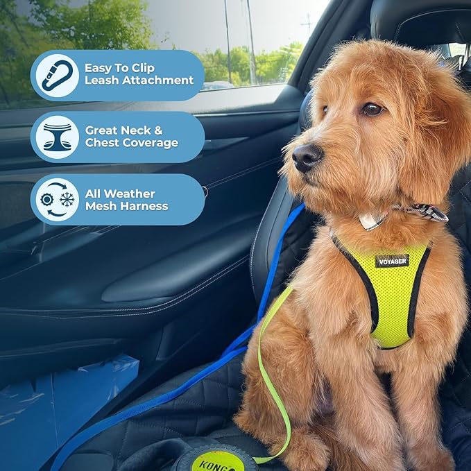 Best Pet Supplies Voyager Step-in Air Harness - All Weather Mesh, Reflective, No Pull Harness for Dogs, Cats - Secure with Hook & Loop Fastener, Buckle, Double D-Rings - Lime Green/Black Trim, XXS