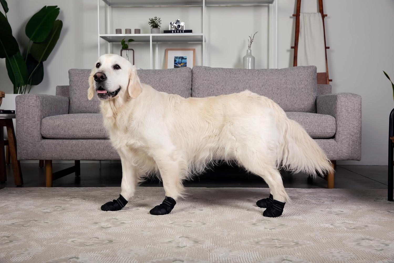 Premium Dog Shoes for Hiking, Rain, Mud, and Hot Concrete - Protective Dog Boots and Booties for Large and Medium Size Dogs - Durable Outdoor Dog Shoes (Size 5 (2.25-2.5" paw Width) Medium)