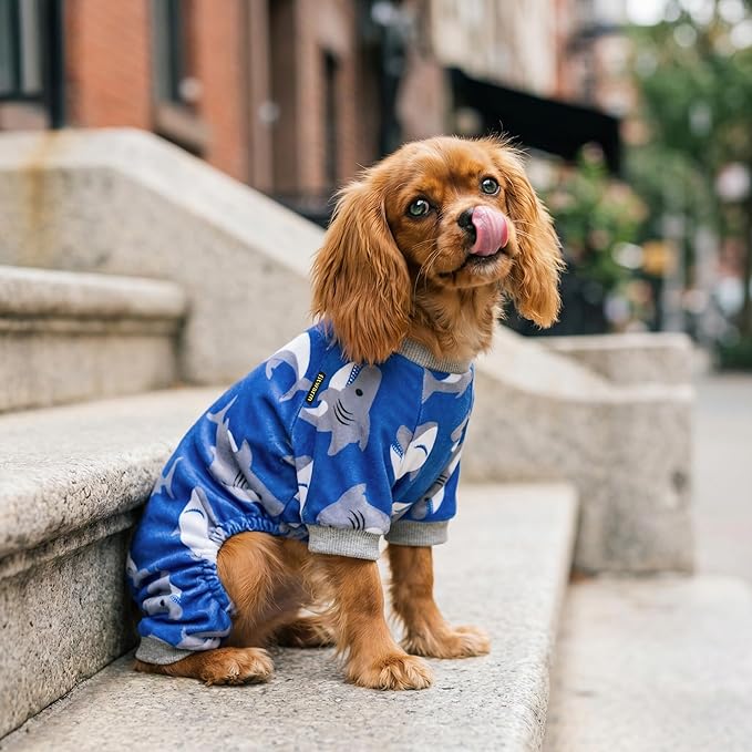 Fitwarm Shark Dog Pajamas, Dog Clothes for Small Dogs Girl Boy, Pet Onesie with Feet, Cat Outfit, Lightweight Velvet, Royal Blue, XS